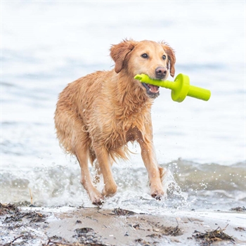 DogActivity MotAqua Hundetræning i Vand Lime
